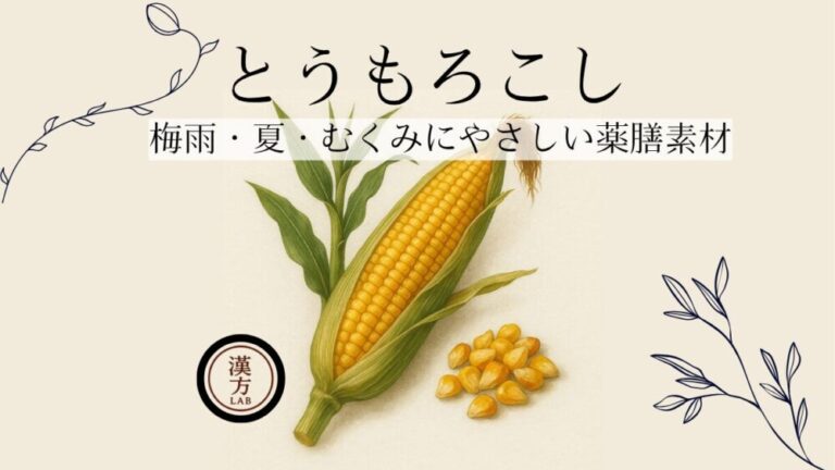 とうもろこし｜梅雨・夏・むくみにやさしい薬膳素材