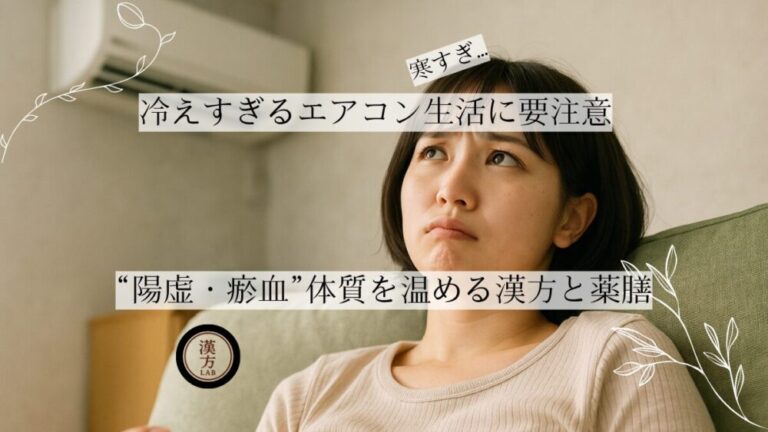 冷えすぎるエアコン生活に要注意｜“陽虚・瘀血”体質を温める漢方と薬膳