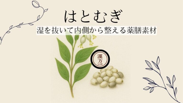 はとむぎ｜湿を抜いて内側から整える薬膳素材