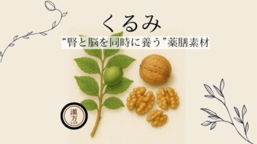 “腎と脳を同時に養う”くるみ｜疲れ・冷え・老化にやさしく効く薬膳素材