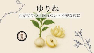 心がザワつくときは“百合根”を｜眠れない・不安な夜のための薬膳素材