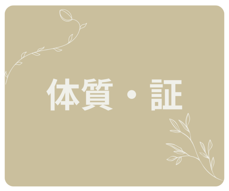 🌀体質・証