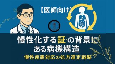 【医師向け】”慢性化する証”の背景にある病機構造─慢性疾患対応の処方選定戦略