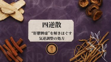 四逆散｜怒りっぽい・下痢・腹痛──“肝鬱脾虚”を解きほぐす気逆調整の処方