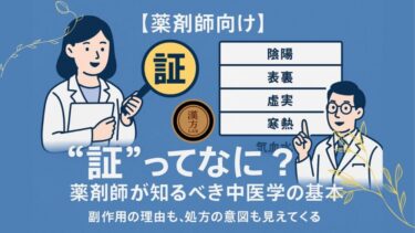 【薬剤師向け】証”ってなに？薬剤師が知るべき中医学の基本