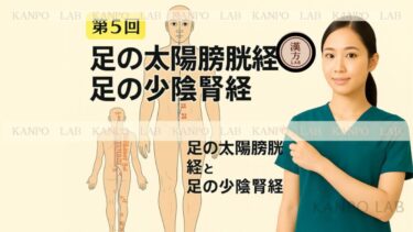 bladder-kidney-meridians