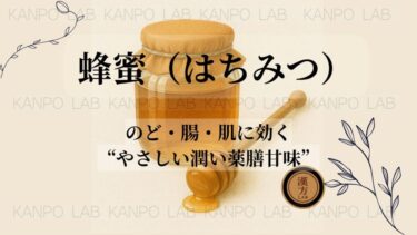 🍯蜂蜜（はちみつ）｜のど・腸・肌に効く“やさしい潤い薬膳甘味”