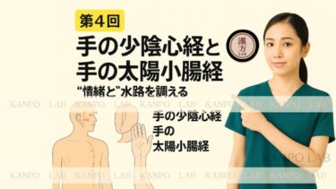 🧩 第4回｜手の少陰心経と手の太陽小腸経──“心の声”と“排泄”の関係をつなぐルート