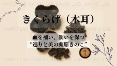 kikurage (1)