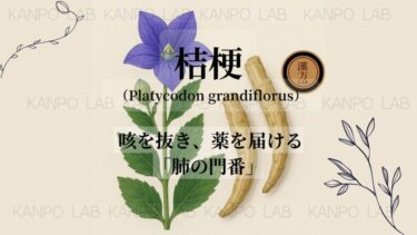 kikyou