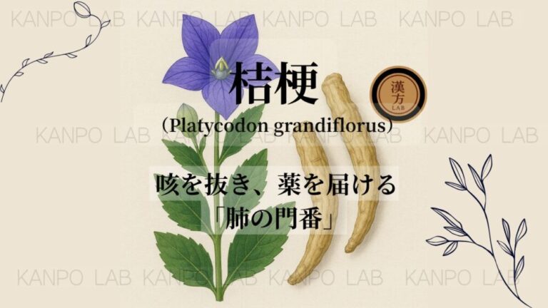 kikyou