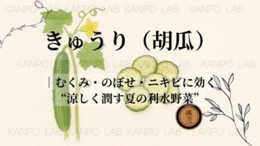 kyuuri