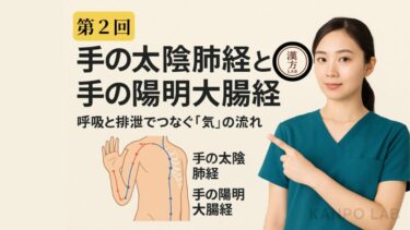 🧩 第2回｜手の太陰肺経と手の陽明大腸経──呼吸と排泄でつなぐ「気」の流れ