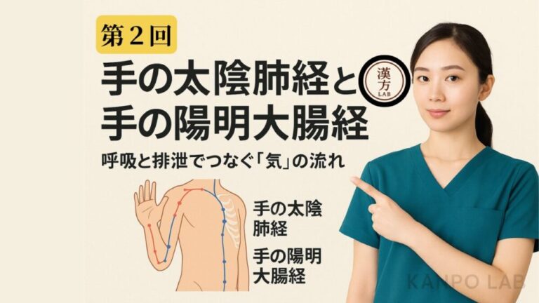 lung-colon-meridians