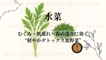 🥗水菜｜むくみ・肌荒れ・春の巡りに効く“軽やかデトックス葉野菜”