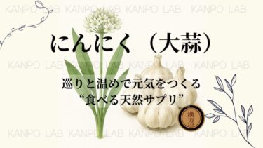 🧄にんにく（大蒜）｜巡りと温めで元気をつくる“食べる天然サプリ”