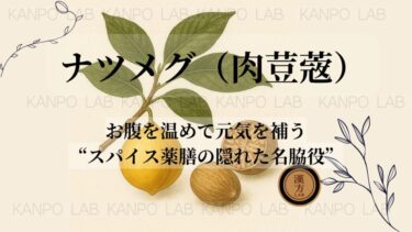 🧂ナツメグ（肉荳蔲）｜お腹を温めて元気を補う“スパイス薬膳の隠れた名脇役”