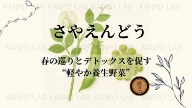 🌱さやえんどう｜春の巡りとデトックスを促す“軽やか養生野菜”