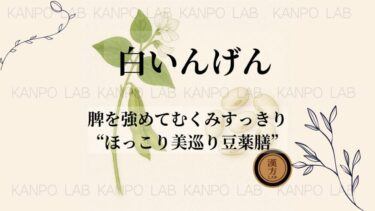 shiroingen