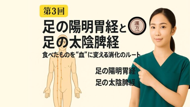 stomach-spleen-meridians
