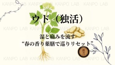 🌱ウド（独活）｜湿と痛みを流す“春の香り薬膳で巡りリセット”