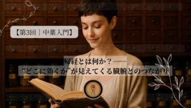 【第3回｜中薬入門】帰経とは何か？──“どこに効くか”が見えてくる臓腑とのつながり