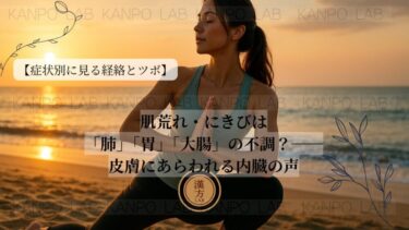 【症状別に見る経絡とツボシリーズ｜第10回】：肌荒れ・にきびは「肺」「胃」「大腸」の不調？──皮膚にあらわれる内臓の声